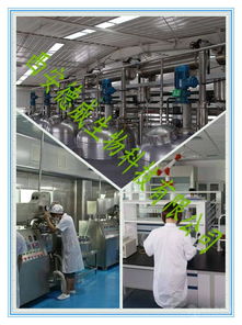 枳实提取物、橙皮甙与地奥司明 工厂源头价稳质优，技术进出口助力全球市场