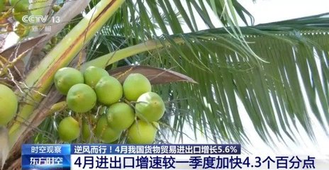 关税战下闪耀全球 中国外贸与技术进出口逆势增长的底气解码